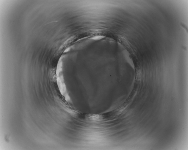 X0000102490383200808291655