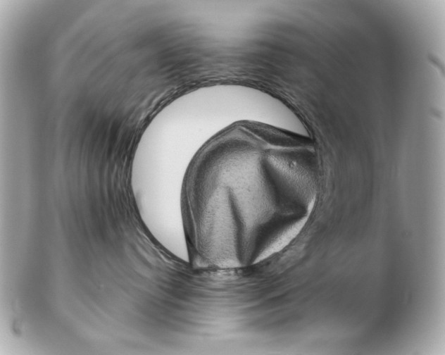 X0000102490384200808291655