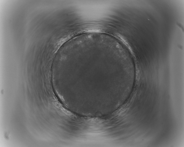 X0000102490385200808291654