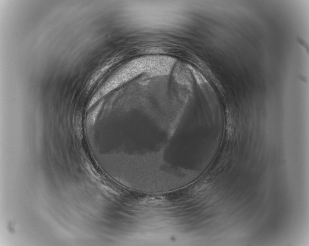 X0000102490386200808291654