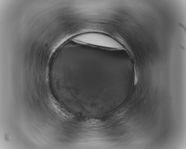 X0000102490387200808291654