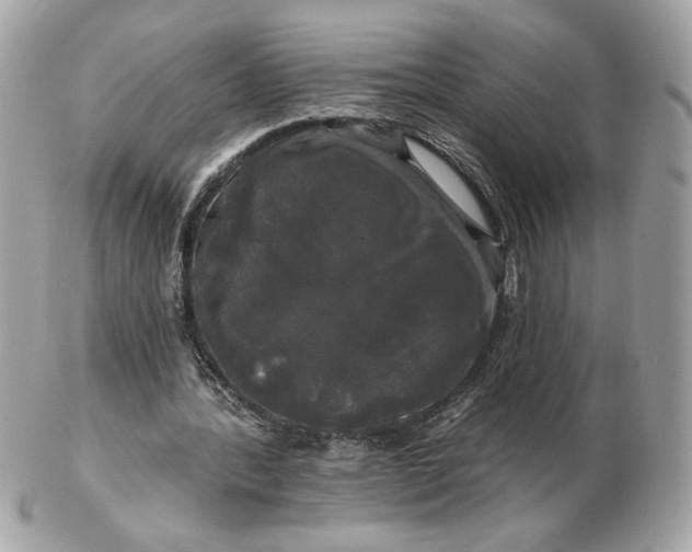 X0000102490388200808291654