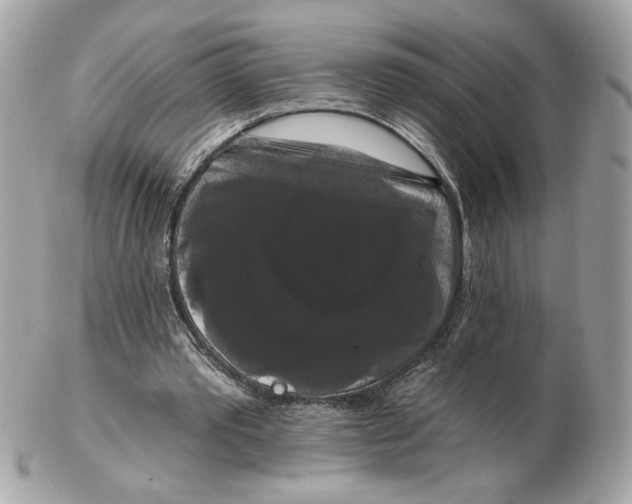 X0000102490389200808291654