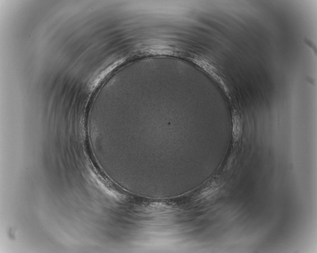 X0000102490390200808291654