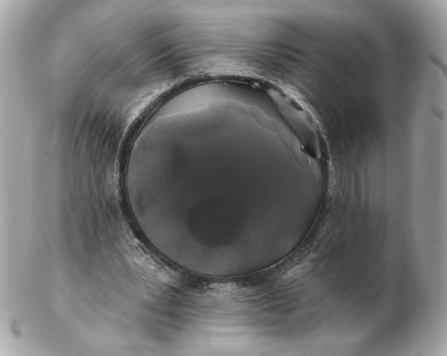 X0000102490391200808291654