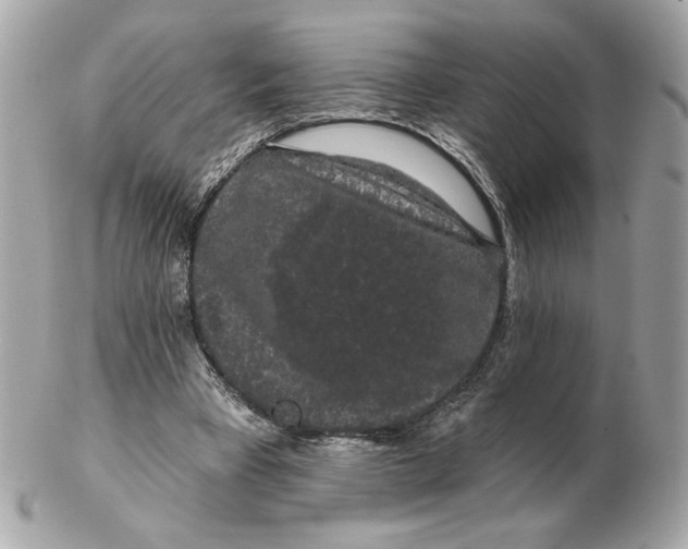 X0000102490393200808291654