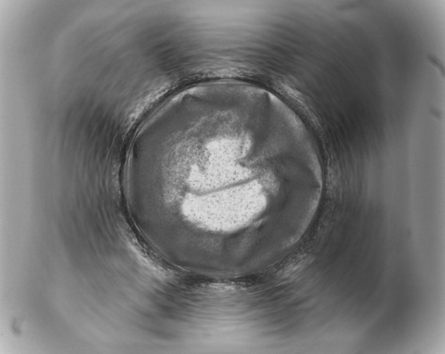 X0000102490394200808291654