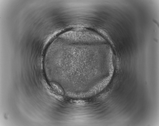 X0000102490395200808291654