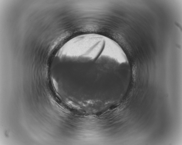 X0000102490396200808291654