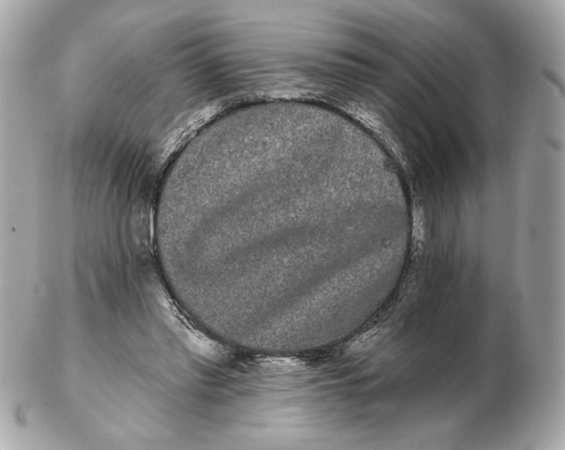 X0000102490397200808291654