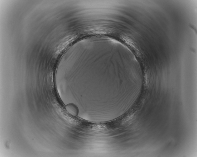 X0000102490398200808291654