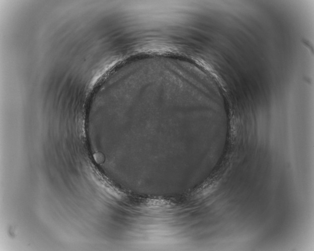 X0000102490399200808291654