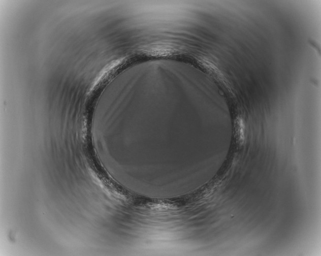 X0000102490400200808291654