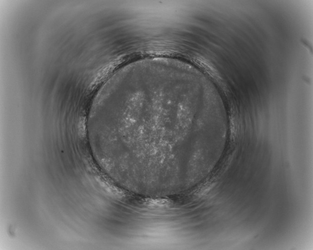 X0000102490401200808291654