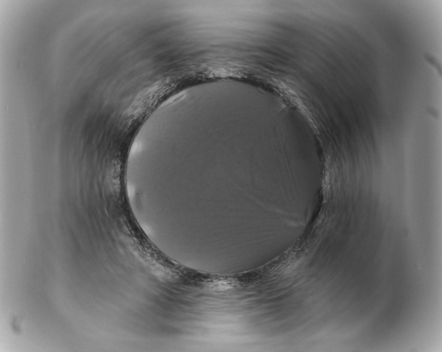 X0000102490402200808291654