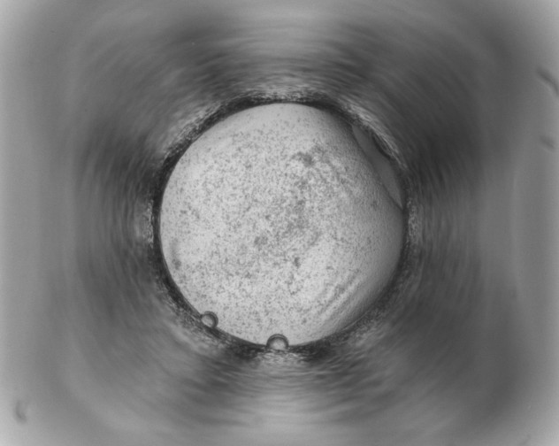 X0000102490403200808291654