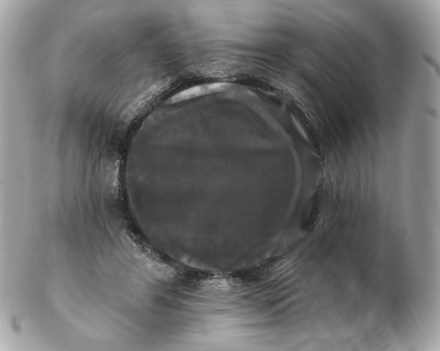 X0000102490404200808291654