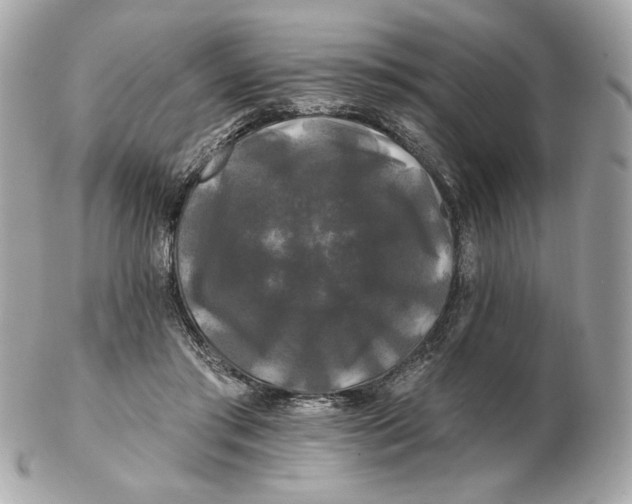 X0000102490405200808291654