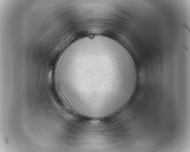 X0000102490406200808291654