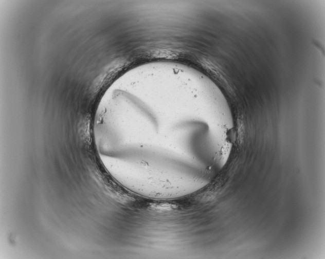 X0000102490407200808291654