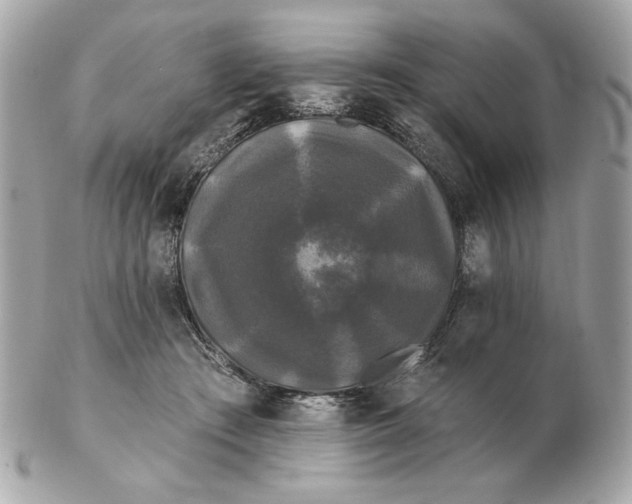 X0000102490409200808291654