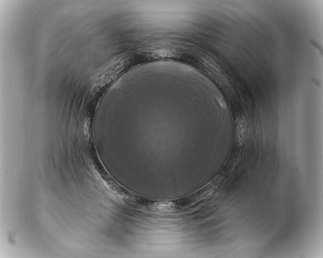 X0000102490410200808291654