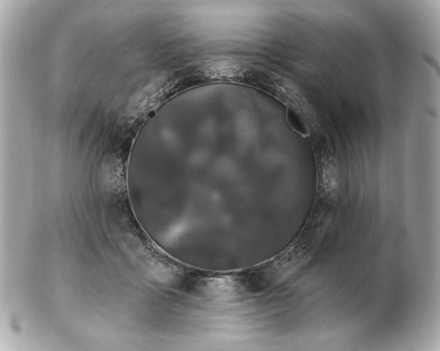 X0000102490411200808291654