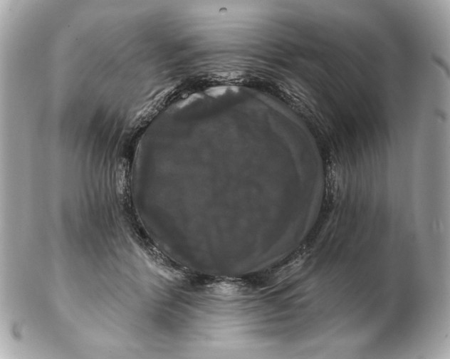 X0000102490412200808291654