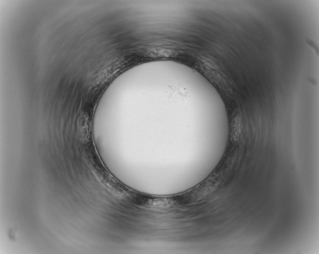 X0000102490414200808291653