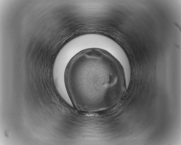 X0000102490415200808291653