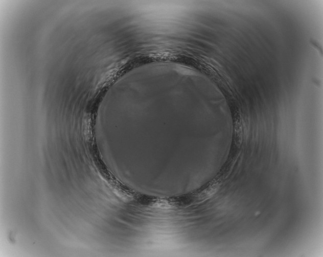 X0000102490416200808291653