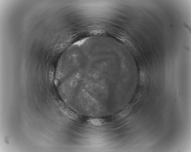 X0000102490417200808291653