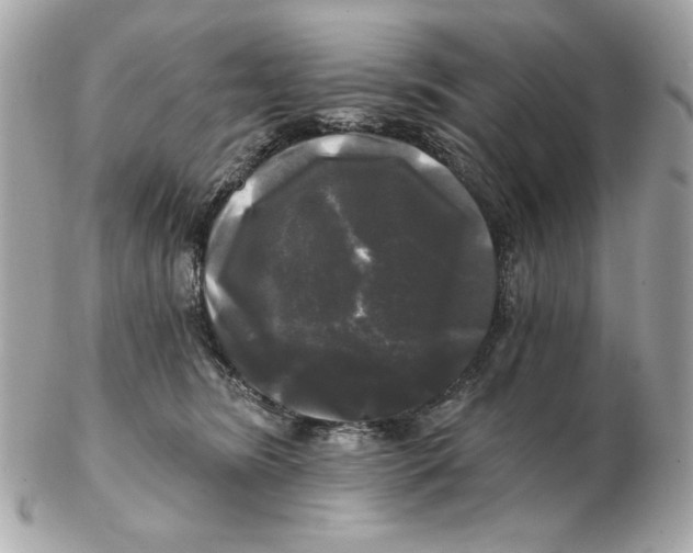 X0000102490420200808291653