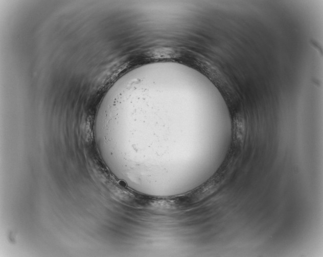 X0000102490422200808291653