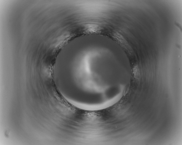 X0000102490423200808291653