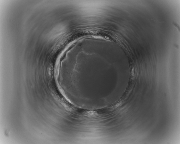 X0000102490424200808291653