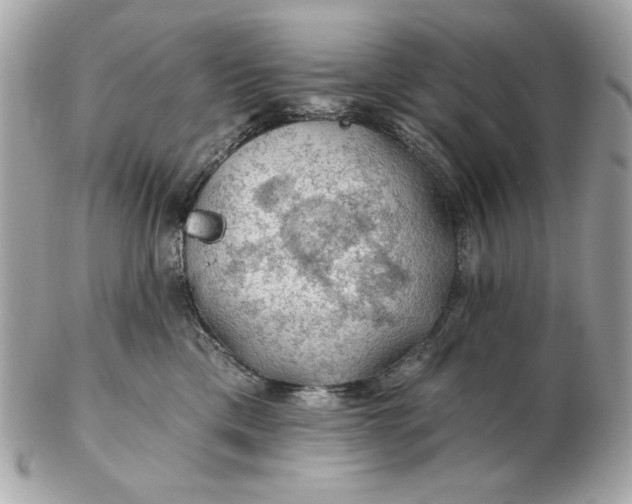 X0000102490425200808291653