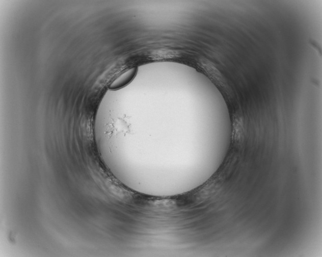 X0000102490426200808291653