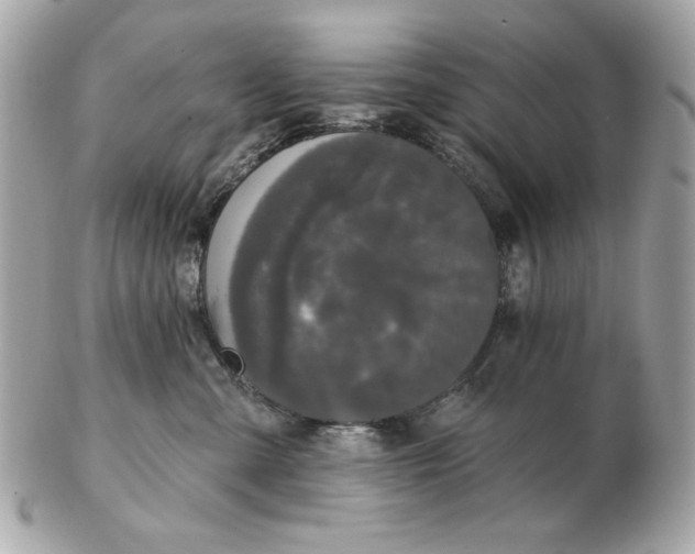 X0000102490427200808291653