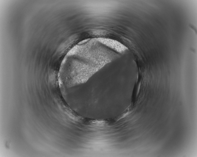 X0000102490428200808291653