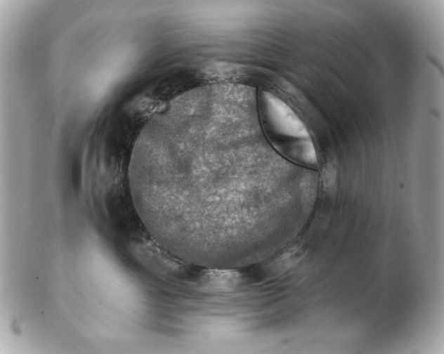 X0000102490429200808291653