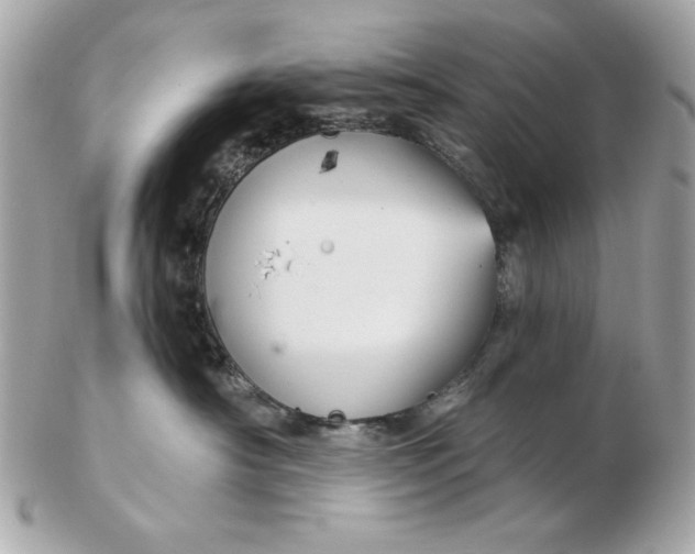 X0000102490430200808291653