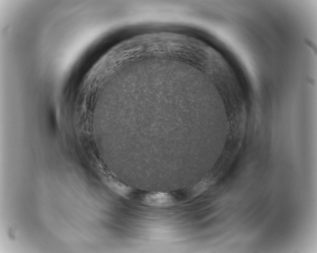 X0000102490431200808291653