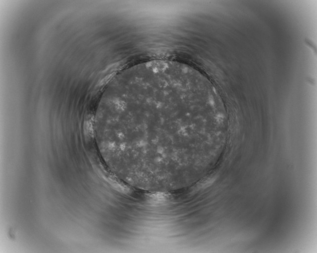 X0000102490432200808291653