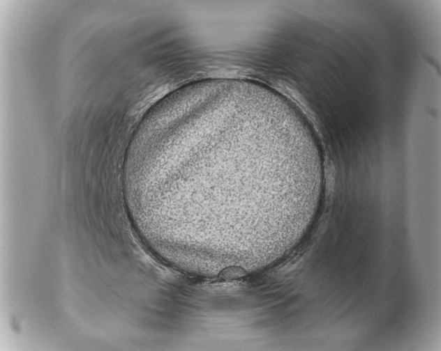 X0000102490433200808291653