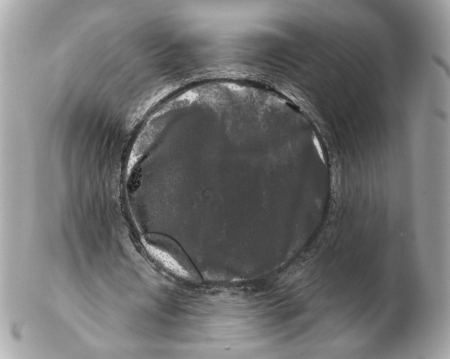 X0000102490434200808291653