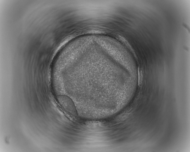 X0000102490435200808291653