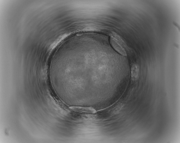 X0000102490436200808291653