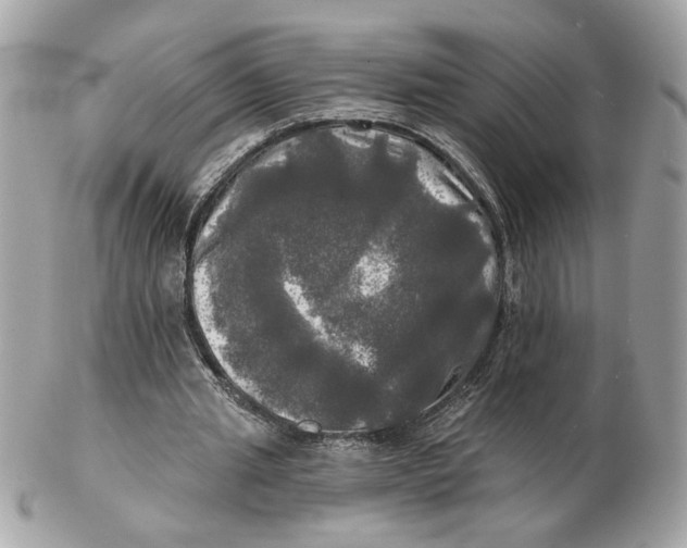 X0000102490437200808291653