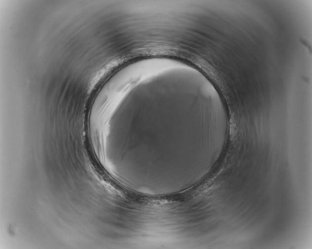 X0000102490438200808291653